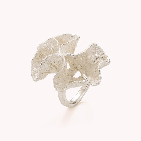 zilveren ring