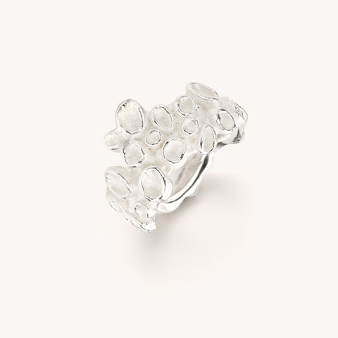 zilveren ring